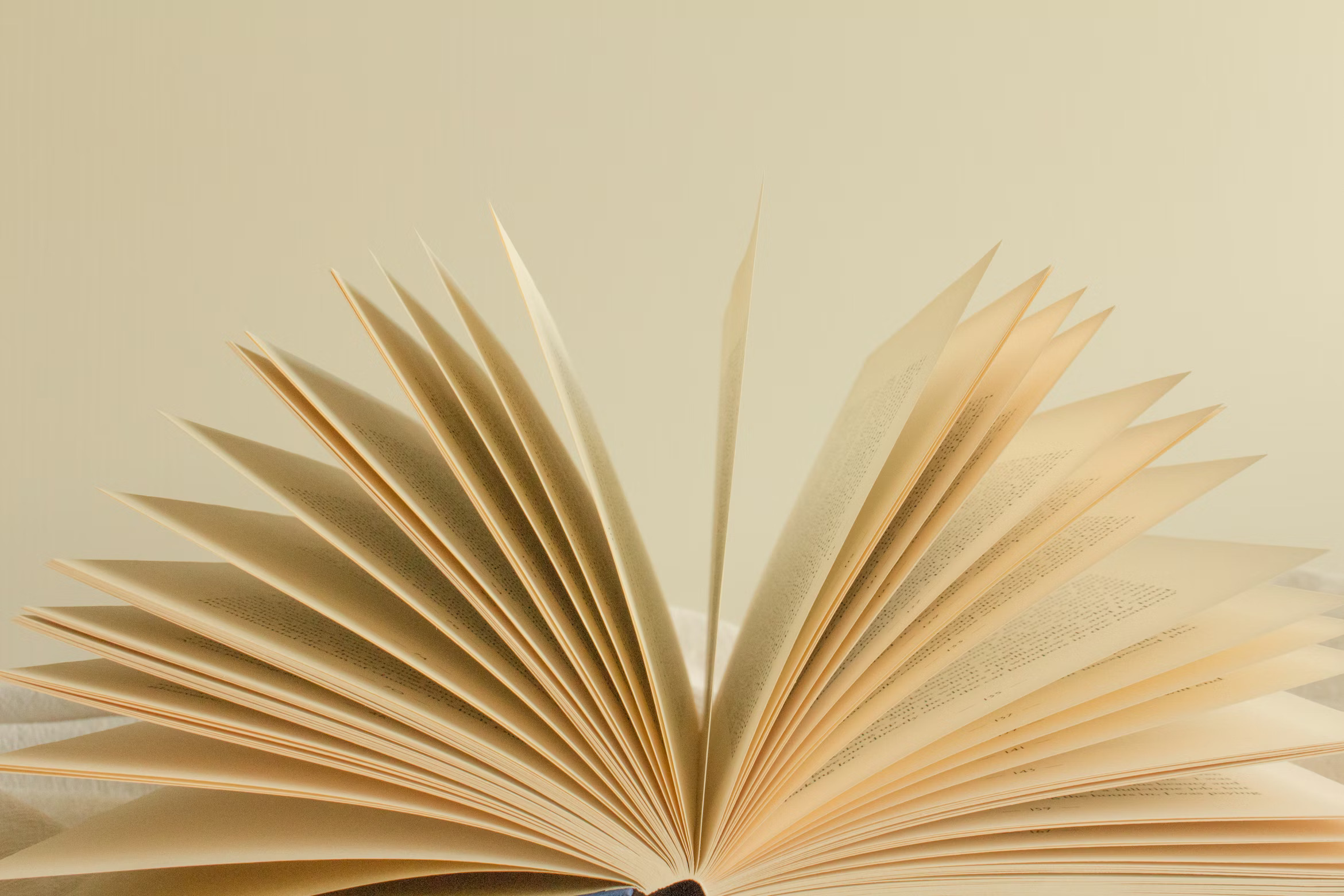 Scienze del Libro, del Documento e del Patrimonio culturale