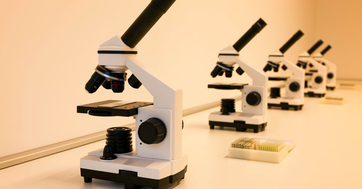 Biologia