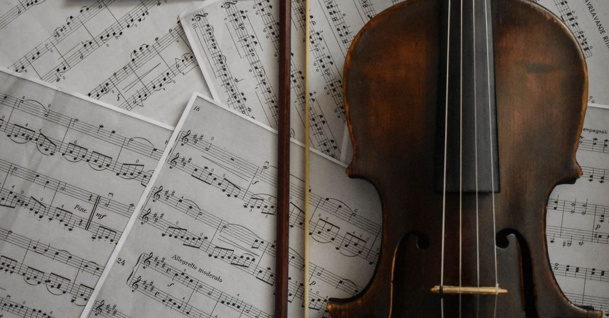 Viola