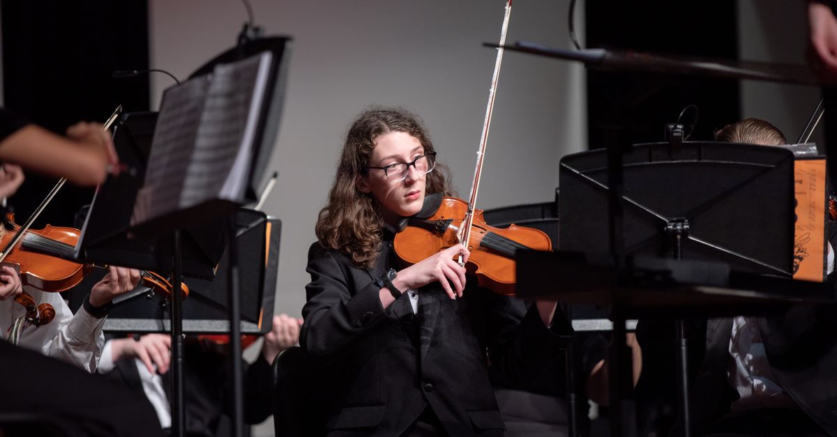 Violino