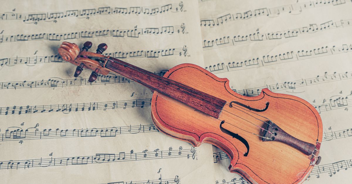 Viola da gamba