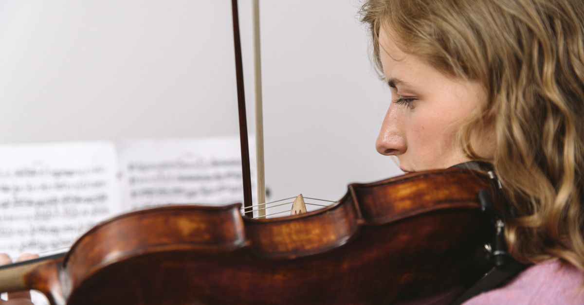 Viola da gamba
