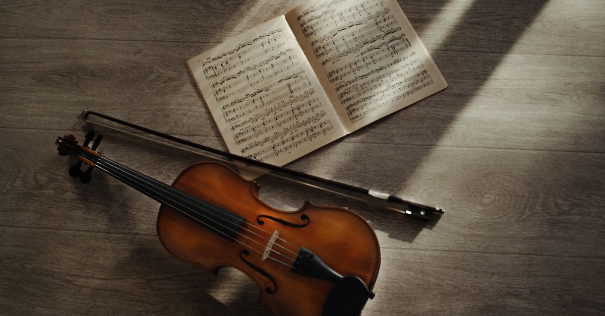 Viola