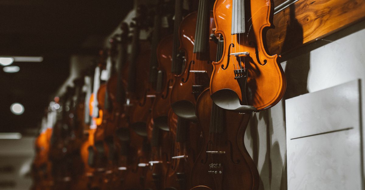 Violino