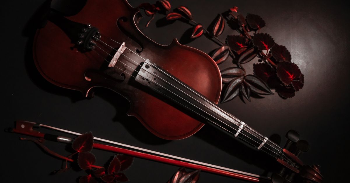 Viola da Gamba