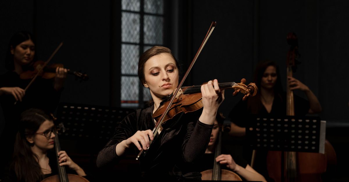 Violino