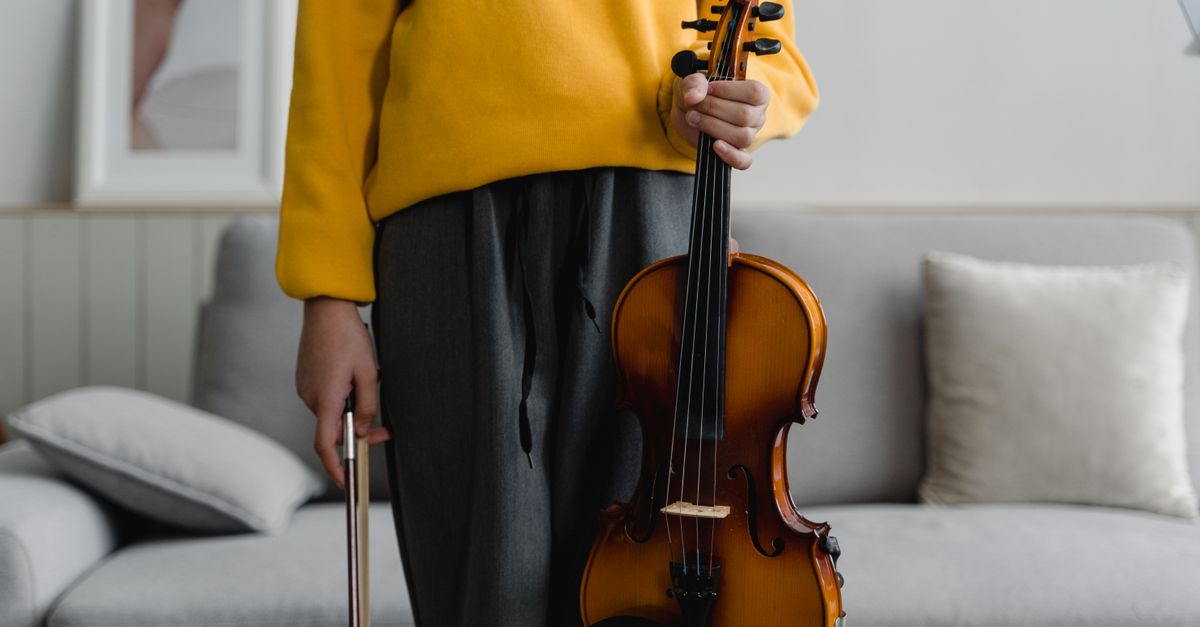 Violino