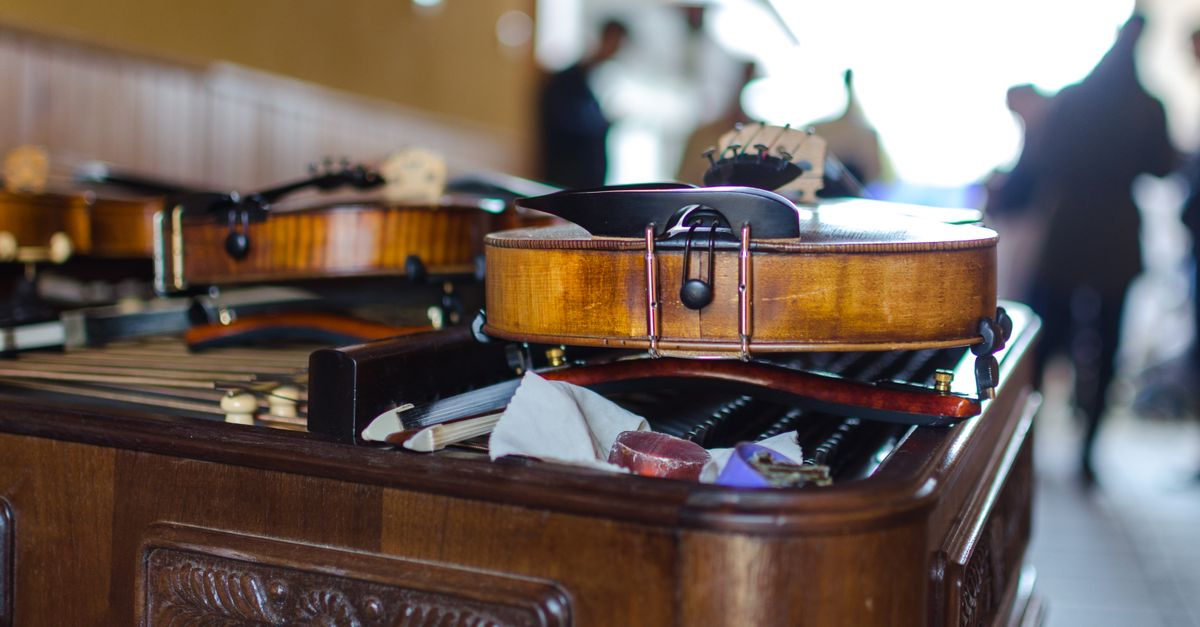 Violino