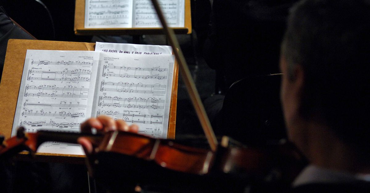 Violino