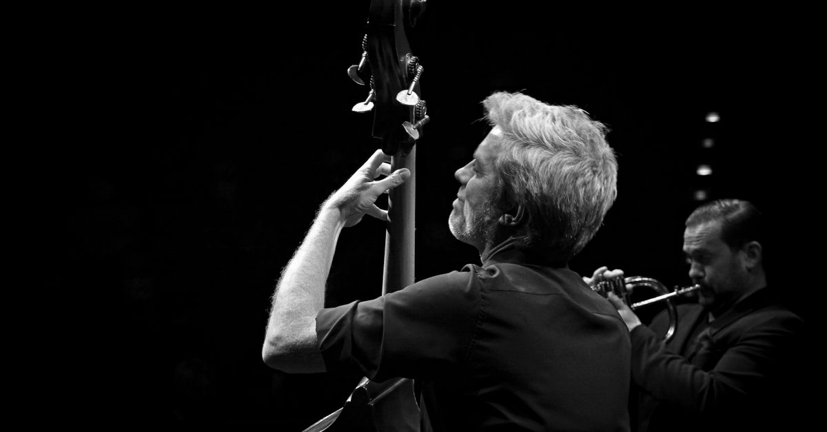 Contrabbasso jazz