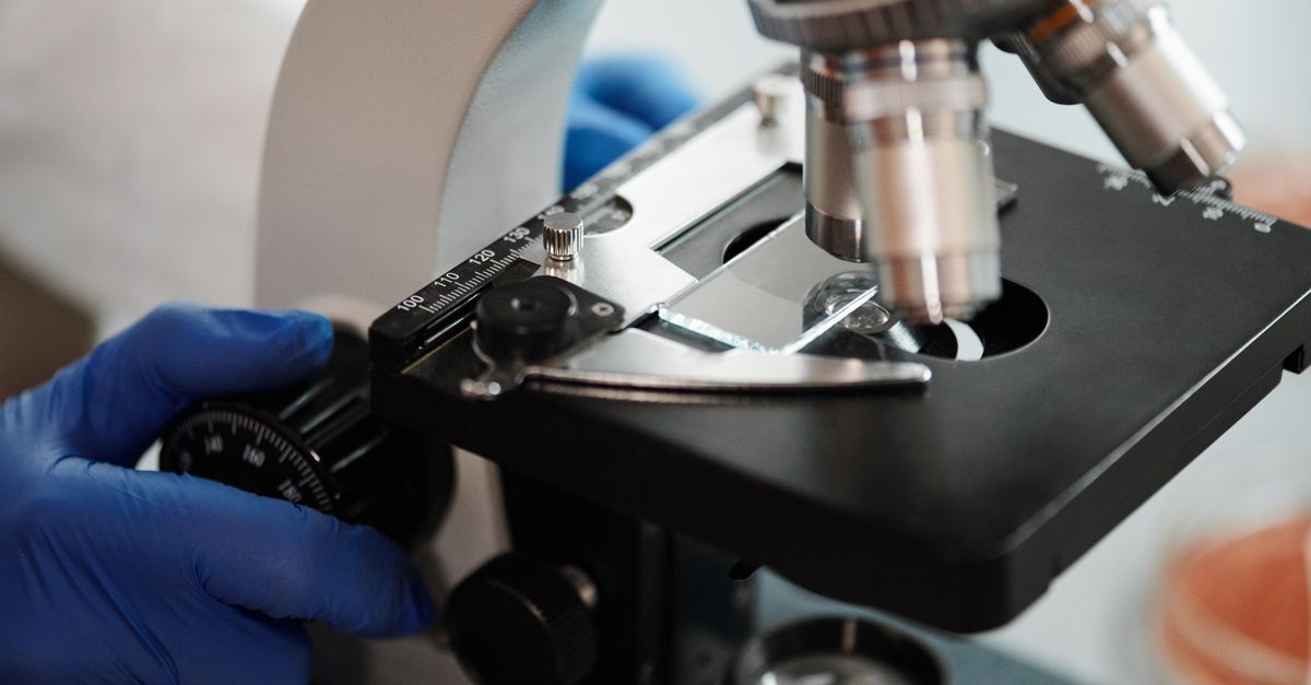Biotecnologie Molecolari e Industriali