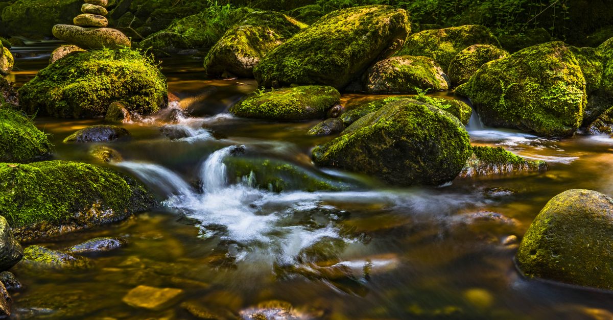 Geoscienze per l’Ambiente, le Risorse e i Rischi Naturali