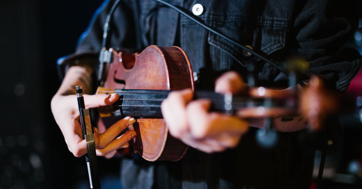 Viola