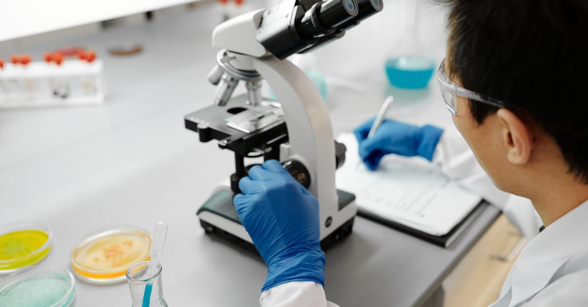 Biologia molecolare e applicata