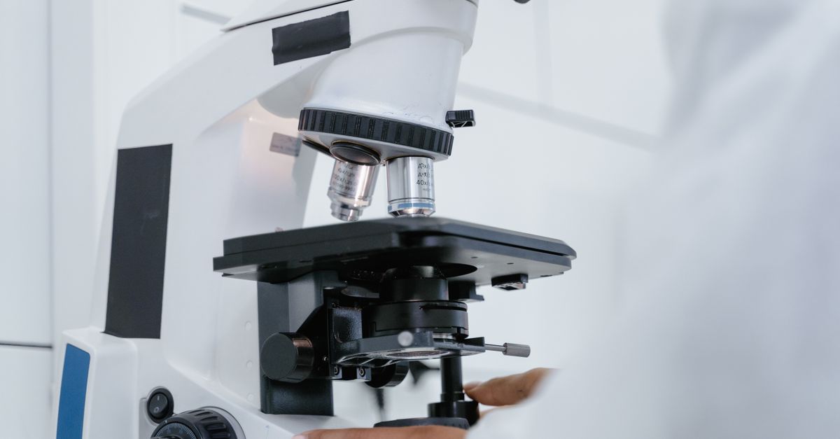 Biotecnologie per la gestione ambientale e l’agricoltura sostenibile