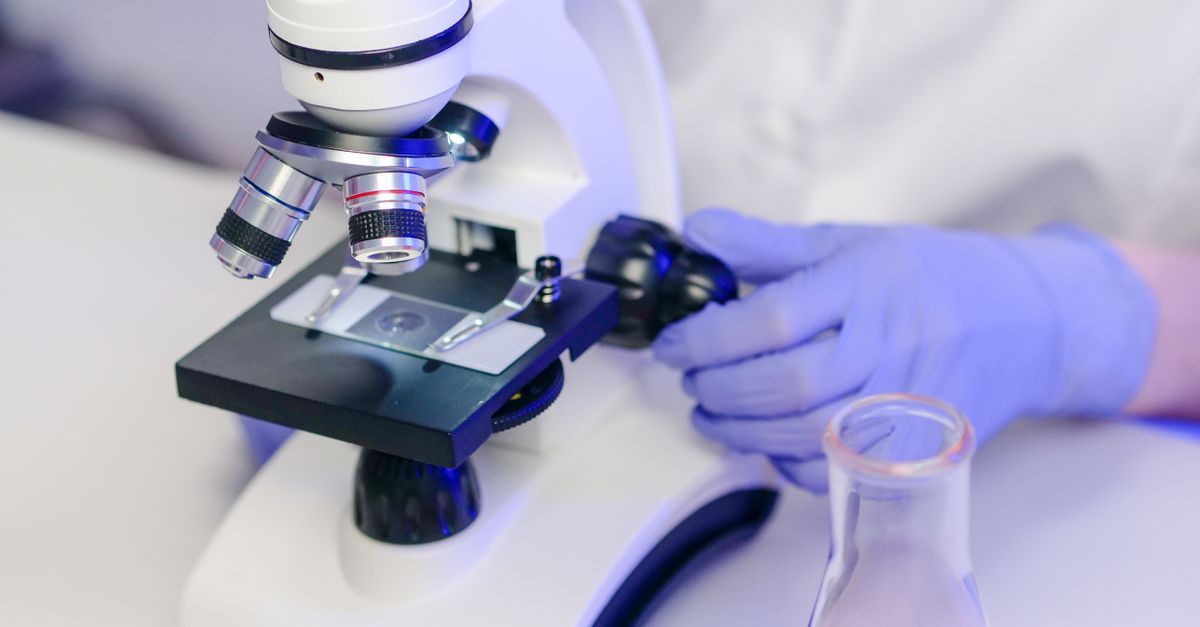 Scienze biologiche