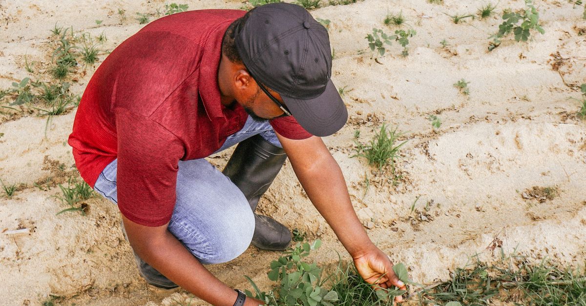 Scienze e tecnologie agrarie