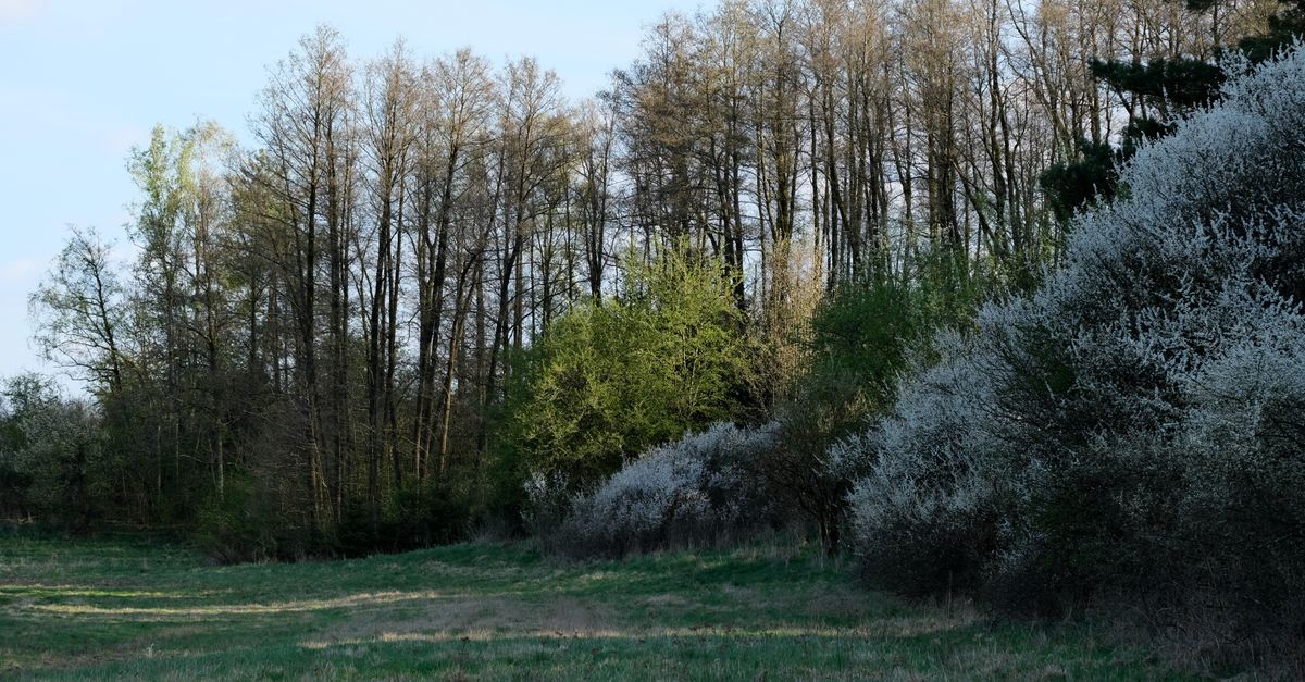 Scienze della Terra