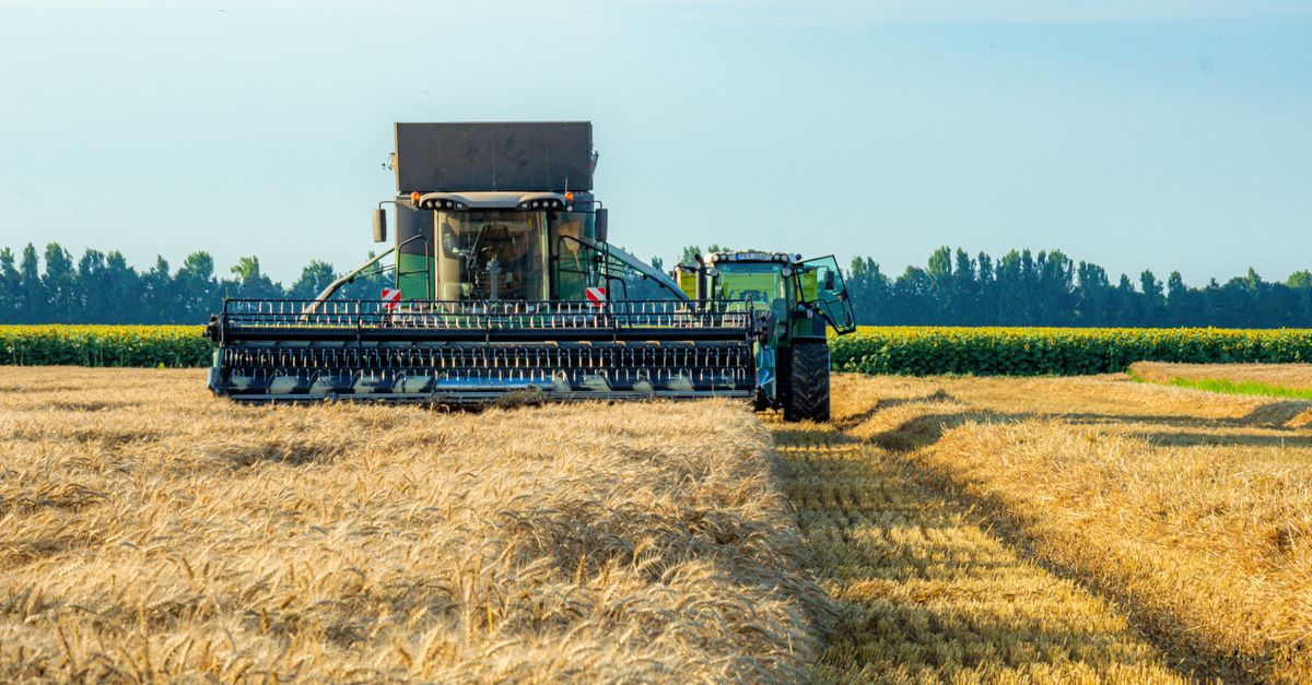 Scienze dell’Alimentazione e della Nutrizione Umana