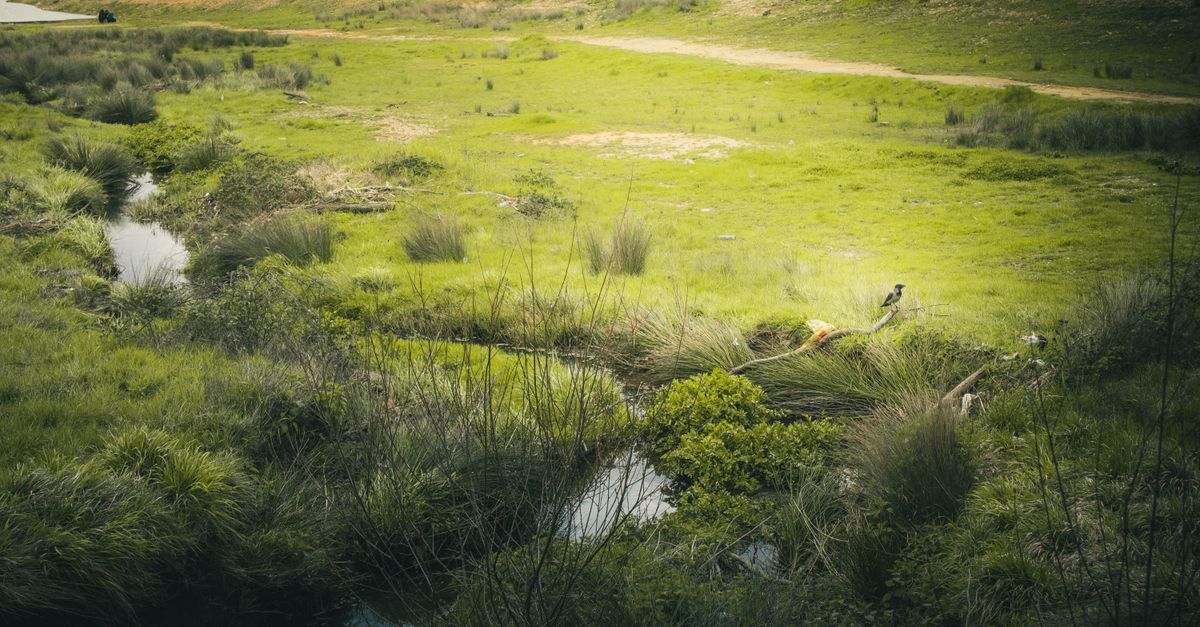 Scienze della Natura e dell’Ambiente