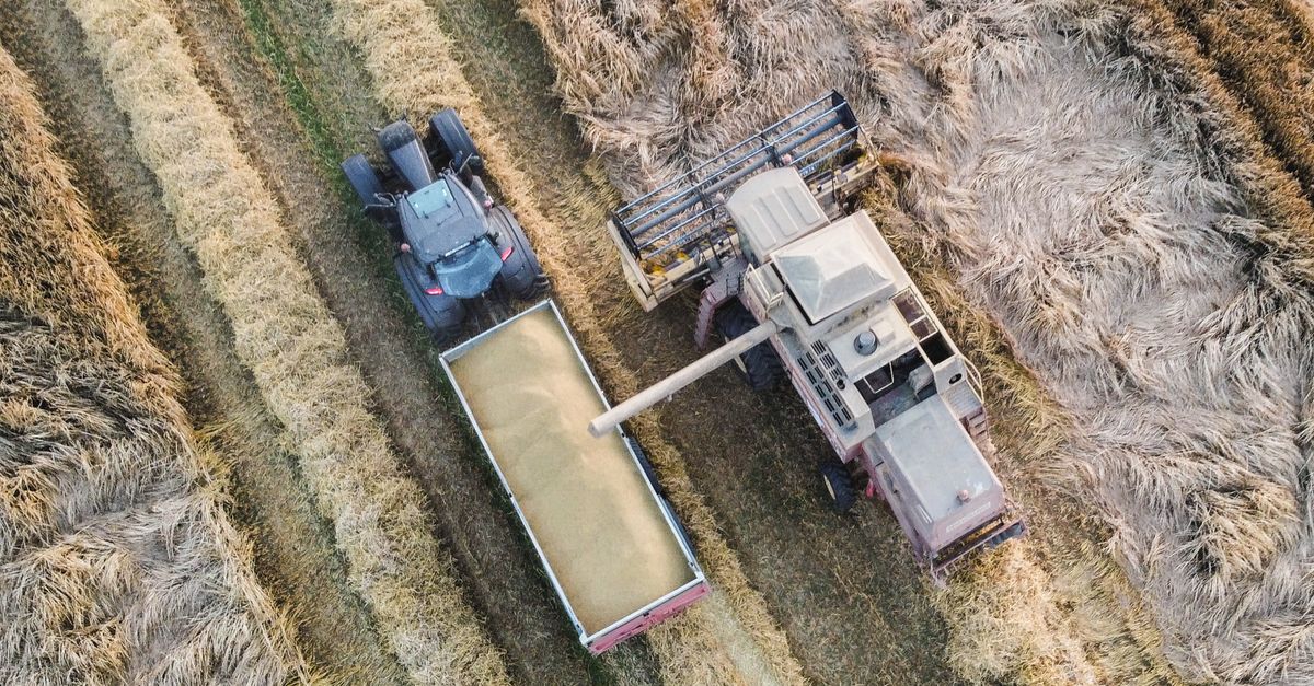 Scienze delle Produzioni e delle Tecnologie Agrarie