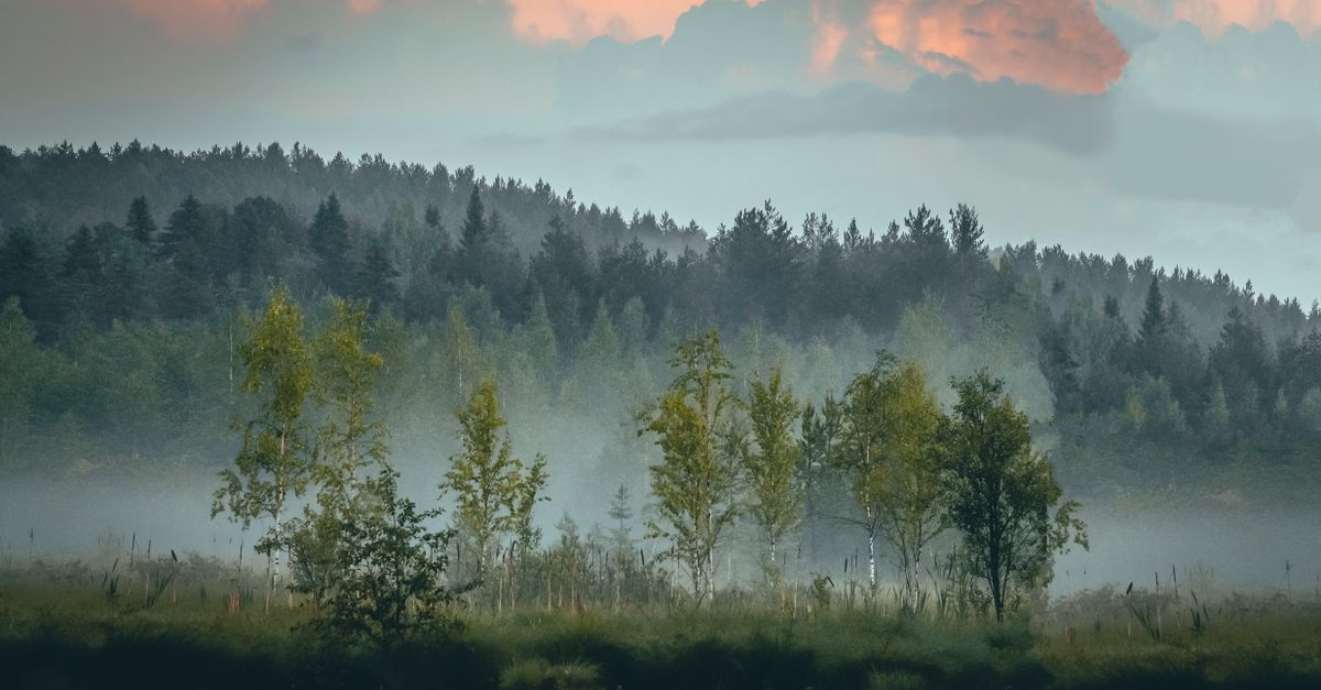 Scienze e tecnologie per l’ambiente