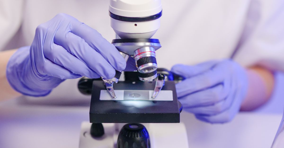 Biotecnologie vegetali e microbiche