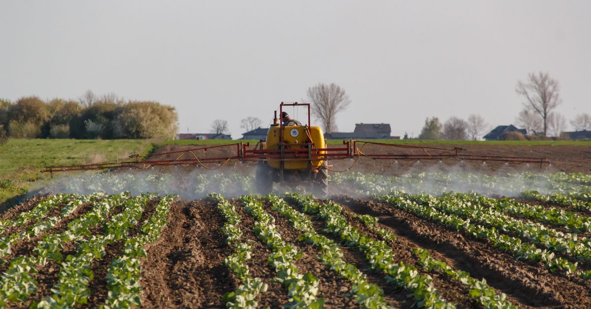 Scienze e tecnologie agrarie